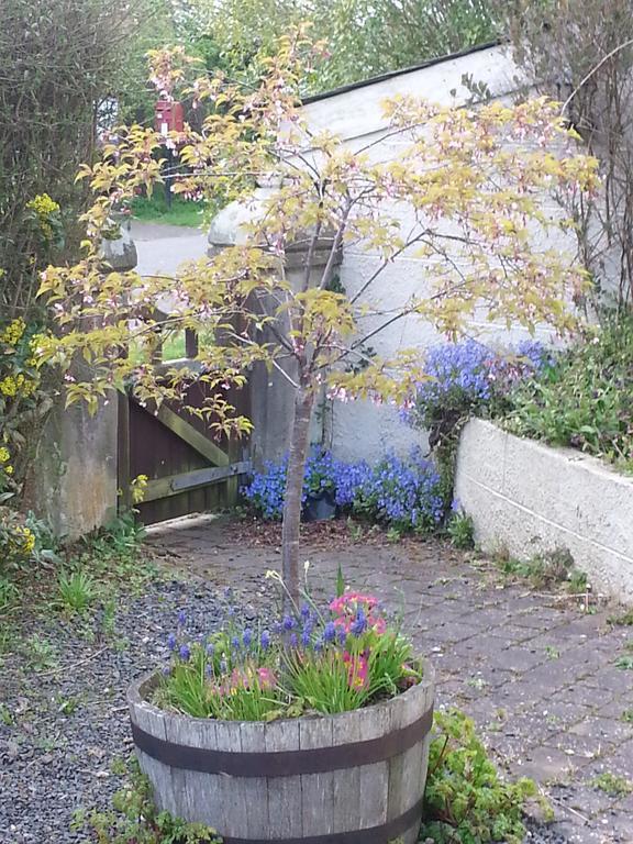 Westwood House Bed And Breakfast Grantshouse 외부 사진